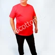 34d6cc93-fab6-4d00-b136-c4972c0c6852-01.jpg